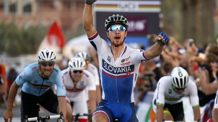 Peter Sagan conserve son tire de champion du Monde (YORICK JANSENS / BELGA MAG)