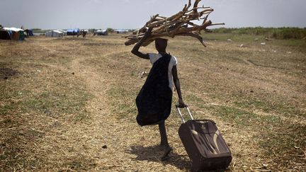 Sud-Soudanaise transportant du bois destiné à renforcer sa maison dans un camp où sont réfugiés des membres de l'ethnie Dinka. ( AFP PHOTO / JM LOPEZ)