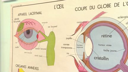 Vienne : au musée Rossignol, une visite nostalgique des cartes de l’enfance