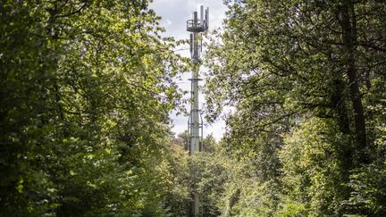 France, Essonne, le 27 août 21. Une antenne-relais de téléphonie&nbsp;mobile dans les environs du Parc naturel régional du Gâtinais, en Île&nbsp;de France. (HUGO PASSARELLO LUNA / HANS LUCAS VIA AFP)