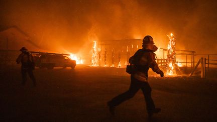 Incendies en Californie : 30 000 hectares déjà partis en fumée