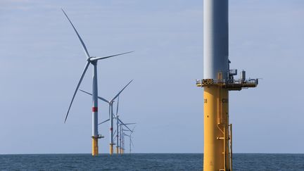 Le parc éolien offshore de Saint-Nazaire, en Loire-Atlantique, le 26 septembre 2023. (FRED HASLIN / LE COURRIER PICARD / MAXPPP)