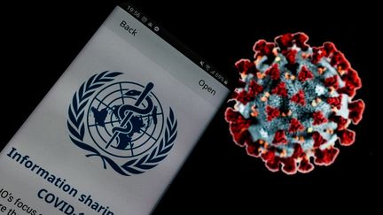 L'Organisation mondiale de la santé a confirmé que le coronavirus était d'origine naturelle. (ANDREA RONCHINI, RONCHINI / NURPHOTO / AFP)