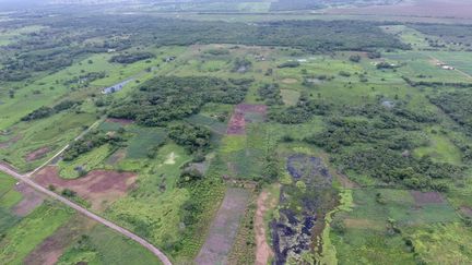 Vue aérienne de l'ancien site Aguada Fénix, au Mexique, le 3 juin 2020. (REUTERS)