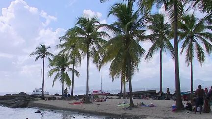 Covid-19 : confinée, la Martinique accuse une forte baisse de sa fréquentation touristique