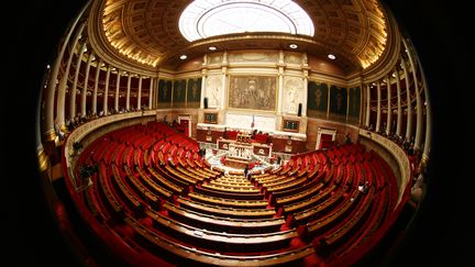 L'h&eacute;micycle de l'Assembl&eacute;e nationale. (JOEL SAGET / AFP)