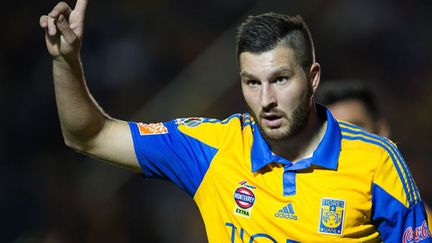 Le joueur des Tigres, André-Pierre Gignac