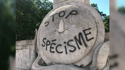 Le monument aux pigeons de Lille vandalisé, le 31 juillet 2018. (EMMANUEL CRAPET / TWITTER)