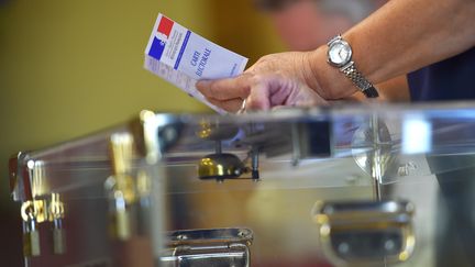 En France, les élections européennes se dérouleront le 26 mai. (LOIC VENANCE / AFP)