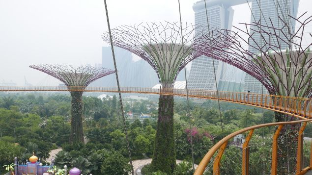 &nbsp; (Les Gardens by the Bay à 50 mètres de hauteur © Emmanuel Langlois / Radio France)