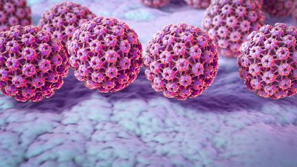 Les infections au HPV, en majeure partie sexuellement transmissibles, sont généralement sans gravité, mais elles peuvent persister et aboutir à un cancer: (KATERYNA KON/SCIENCE PHOTO LIBRA / SCIENCE PHOTO LIBRARY RF)