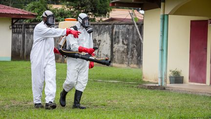 Des agents des services sanitaires détruisent des nids de larves de moustiques à Cayenne (Guyane) le 19 février 2016. (JODY AMIET / AFP)