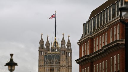 Le Palais de Westminster à Londres (Royaume-Uni), le 16 janvier 2019.&nbsp; (OLI SCARFF / AFP)