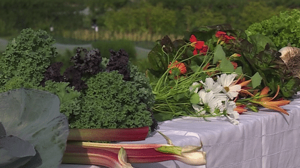 Patrimoine : à la découverte du potager de Louis XIV au Château de Versailles (France 3)