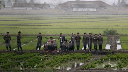 Un groupe de musique joue au milieu des champs pour encourager les agriculteurs &agrave; Hwanggumpyong (Cor&eacute;e du Nord), le 6 juin 2012. (JACKY CHEN / REUTERS)