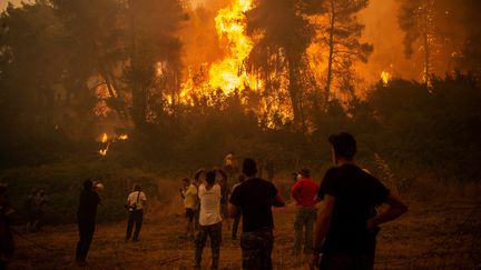 Grèce : le lourd bilan des incendies