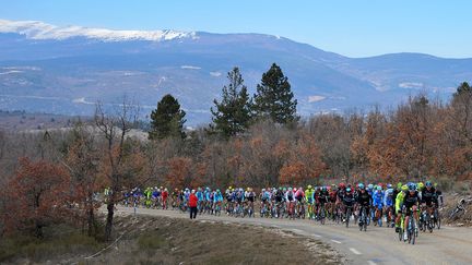 Cyclisme : sur le Mont Ventoux pour "le défi des cinglés"