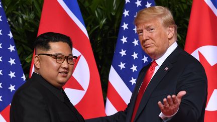 Donald Trump et&nbsp;Kim Jong-un lors de leur rencontre historique le 12 juin 2018 à Singapour.&nbsp; (SAUL LOEB / AFP)