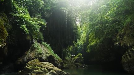 En Indonésie, le Canyon vert est une visite incontournable pour les touristes. Au cœur de la forêt tropicale, il est un lieu naturel et unique. (France 2)