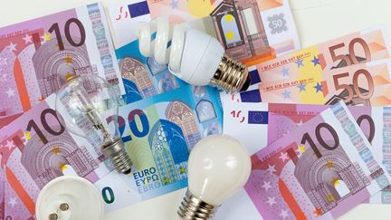 Le fournisseur d'énergie Eni doit rembourser 100 000 clients lésés dans leurs factures d'électricité en France. (CHASSENET / BSIP / AFP)