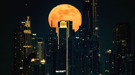 Il faut bien une "super Lune" pour se fondre dans le paysage de Dubaï, l'opulente mégalopole des Emirats arabes unis, le 16 novembre 2024. (FADEL SENNA / AFP)