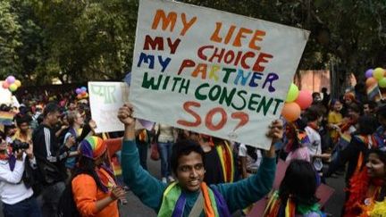 Photo prise le 25 novembre 2013, lors de la gay pride de New Delhi. (AFP/Sajjad Hussein)