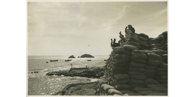 Anonyme, Isla Guanera, Pérou, 1958, archives de Herbert Kirchoff, collection Jan Mulder
 (Rencontres d&#039;Arles)