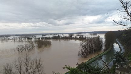 La Garonne à Meilhan-sur-Garonne (Lot-et-Garonne), entre La Réole et Marmande, le 4 février 2021. (MATHIEU MEUNIER)