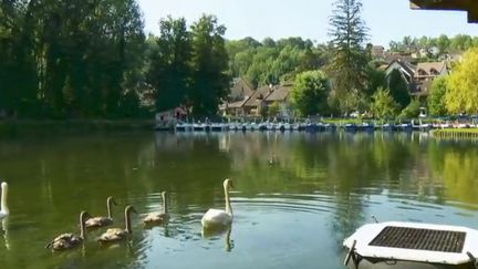 Au fil de l'eau : canal de Savières, entre fleuve et lac