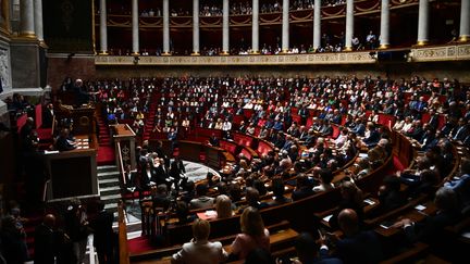 L'assemblée nationale le 28 juin 2022. (CHRISTOPHE ARCHAMBAULT / AFP)