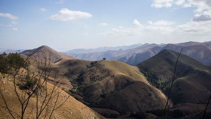 pour tenter de comprendre l’évolution de l’atmosphère et des océans. En 2017, des chercheurs du CNRS et de l’université de Manchester ont, d’après des éléments recueillis sur les roches du Barberton, appris qu’une partie de l’atmosphère terrestre ne pouvait avoir été apportée par les astéroïdes mais plutôt par une source cométaire notamment pour les gaz rares de l’atmosphère», ajoute le Nouvel Obs.
 (Wikus de Wet / AFP)