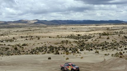 Le Dakar quitte la Bolivie pour l'Argentine (FRANCK FIFE / AFP)