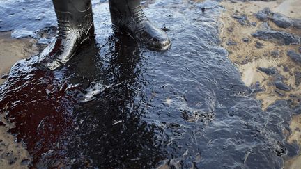 Près de 80 000 litres de pétrole s'est déversé sur une plage de Californie. La fuite qui s'étend sur six kilomètres carré provient d'un pipeline abandonné. C'est la plus grande marée noire qu'ait connu les Etats-Unis depuis 1969, Etats-Unis le 19 mai 2015. (DAVID MCNEW / GETTY IMAGES NORTH AMERICA)