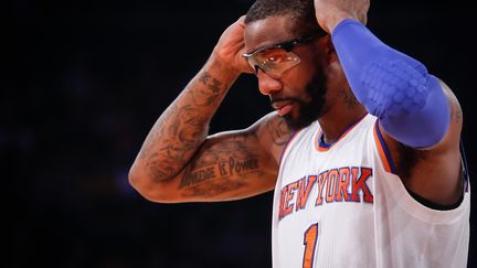 Amar'e Stoudemire (CEM OZDEL / ANADOLU AGENCY)