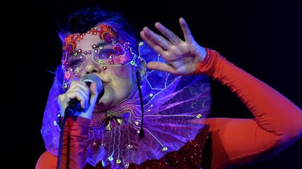 Björk sur scène à Berlin, au Spandau Citadel, le 2 août 2015
 (Britta Pedersen / ZB / AFP)