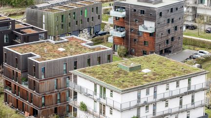 Des toits végétalisés dans le quartier de&nbsp;Wilhelmsburg à Hambourg, en Allemagne, le 21 avril 2022.&nbsp; (MARKUS SCHOLZ / MAXPPP)