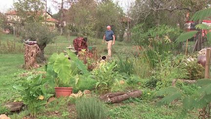 Climat : en Dordogne, la faune et la flore déréglées par la vague de chaleur