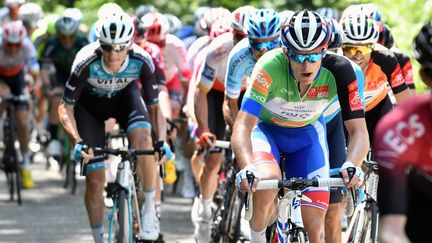 Les coureurs cyclistes lors de la Route d'Occitanie en 2019. Photo d'illustration. (LAURENT DARD / MAXPPP)