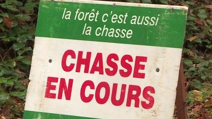 Chasse à courre : les associations de défense des animaux vent debout après un incident à Chantilly, dans l'Oise (France 3)