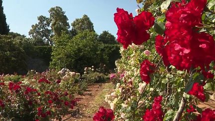 Alpes-Maritimes : à la découverte des jardins de la Villa Eilenroc