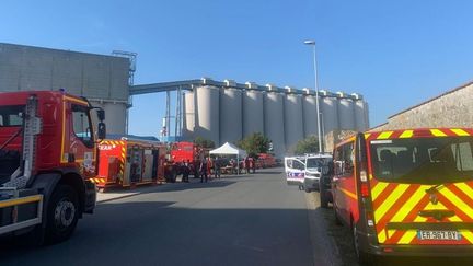 Les silos à grain du groupe Sica Atlantique, sur le port La Pallice de La Rochelle. Image d'Illustration (JOSÉPHINE ORTUNO / RADIO FRANCE)