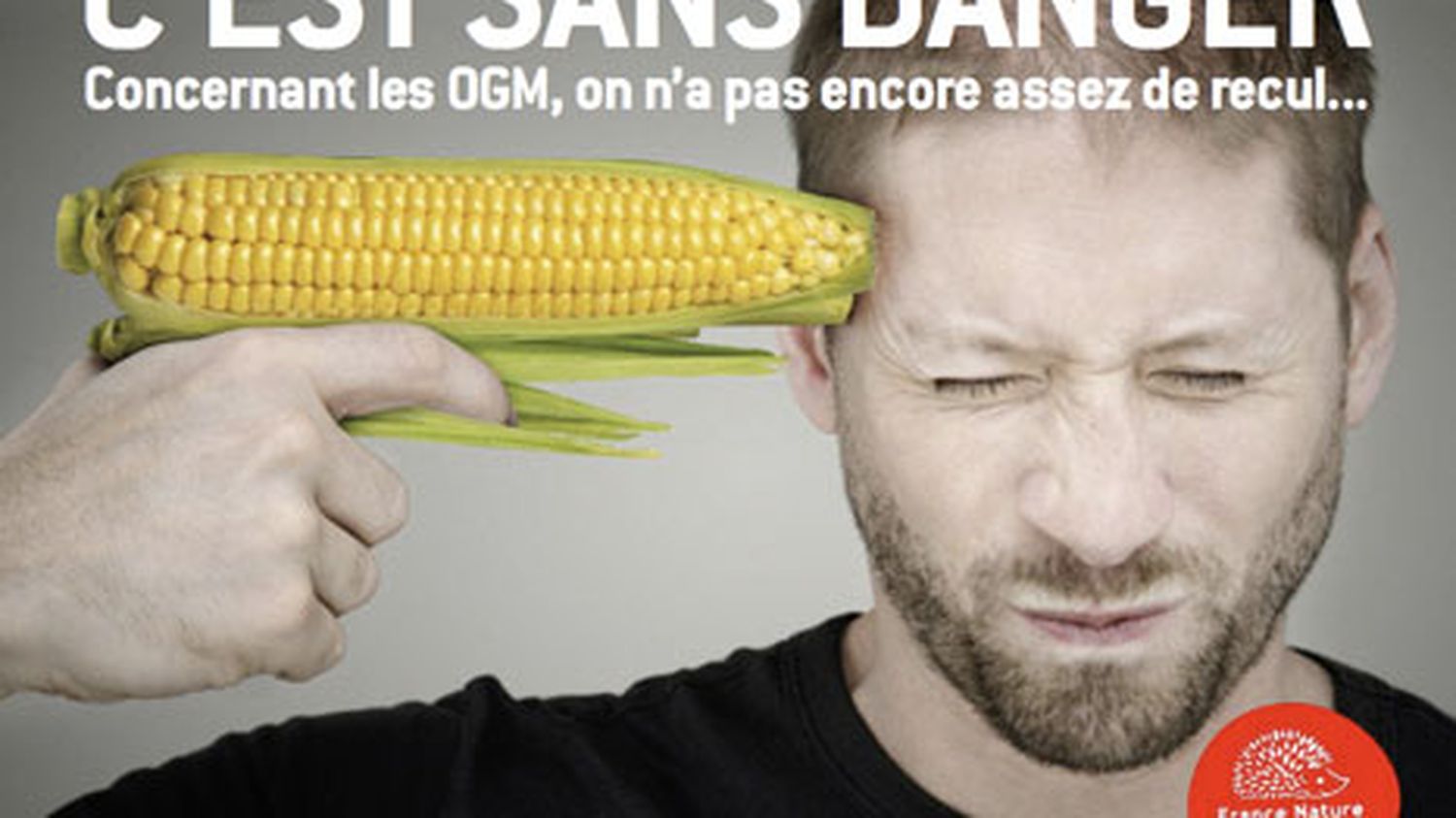 Une Campagne D'affichage Contre Les OGM, Les Pesticides Et Les Algues ...