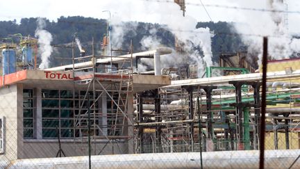 Une vue partielle de la raffinerie Total de La M&egrave;de (Bouches-du-Rh&ocirc;ne), le 23 f&eacute;vrier 2010. (MICHEL GANGNE / AFP)