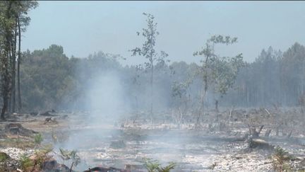 Incendies en Gironde : les pompiers bien aidés par des bénévoles