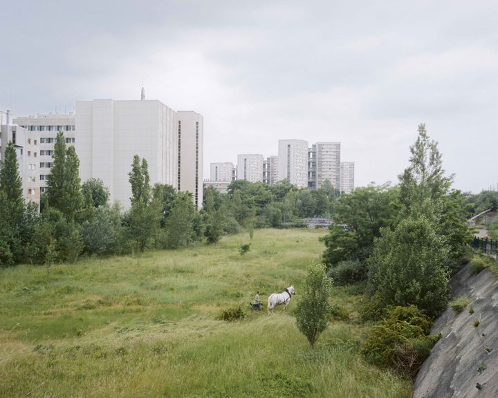 Cyrille Weiner, Série "La Fabrique du pré", 2004-2004, "Le cheval de trait de Roger des Près sur le Grand Axe,
	Nanterre, 2008"
 (Cyrille Weiner Collection particulière)