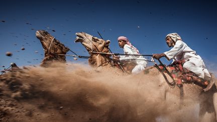 Une course traditionnelle de chameaux en Oman entre deux chameaux guid&eacute;s par des conducteurs entra&icirc;n&eacute;s. Le chameau le plus plus rapide est le perdant, aussi doivent-ils &ecirc;tre conduits &agrave; la m&ecirc;me vitesse dans la m&ecirc;me all&eacute;e.&nbsp;National Geographic Contest (AHMED AL TOQI)