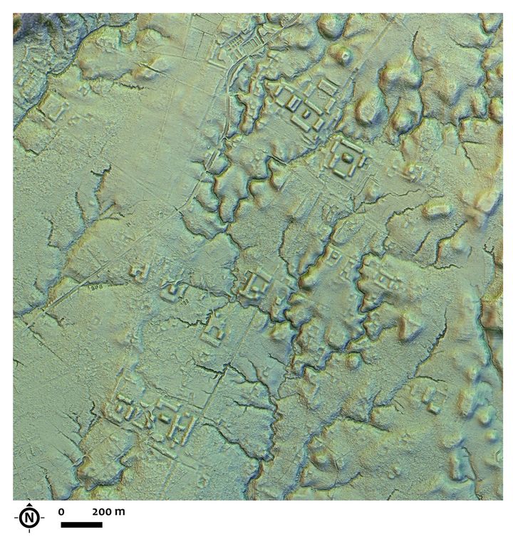 Une image réalisée à l'aide d'un capteur Lidar, fournie par les auteurs de l'étude le 8 janvier 2024, montre une rue traversant une zone urbaine sur le site amazonien de Copueno, dans la vallée d'Upano en Equateur. (ANTOINE DORISON / STÉPHANE ROSTAIN / SIPA)