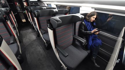 TGV entre Paris et Bordeaux, le 11 décembre 2016. (MEHDI FEDOUACH / AFP)