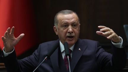 Le président turc Recep Tayyip Erdogan a annoncé que les autorités allaient renvoyer à partir de lundi 11 novembre les jihadistes étrangers dans leur pays d’origine. Une dizaine de terroristes détenus en Turquie seraient français. (ADEM ALTAN / AFP)