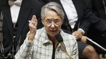 Elisabeth Borne à l'Assemblée nationale, à Paris, le 14 novembre 2023. (LUDOVIC MARIN / AFP)